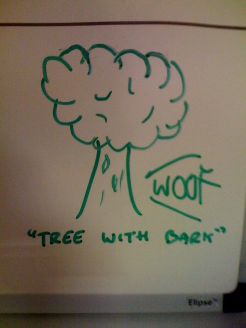 Tree_with_bark